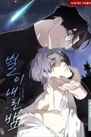 A Night When Stars Fell