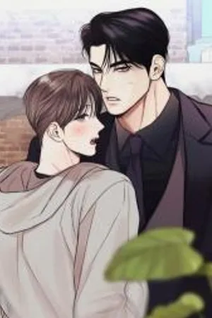 Full Time Freelancer