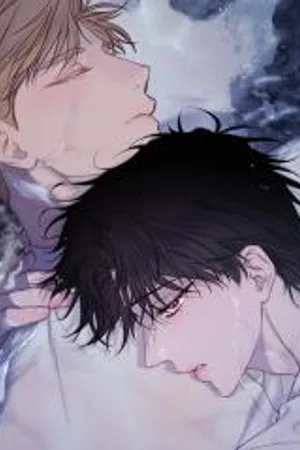 The Coast of The Waves